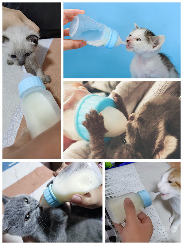 Pet Feeding Bottle with Pacifier