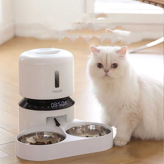 Automatic Double Bowl Cat Feeder